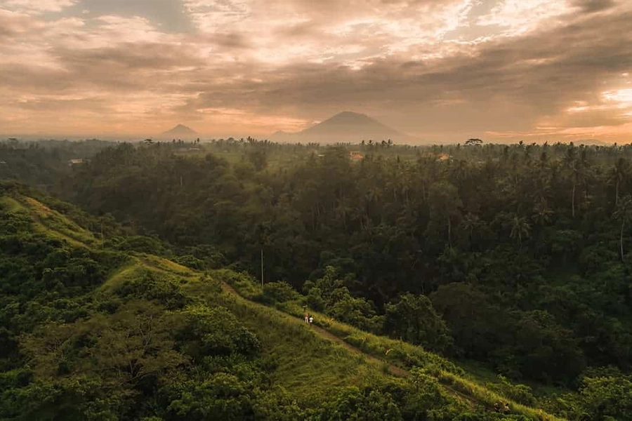 Campuhan Ridge Walk in Ubud, Bali