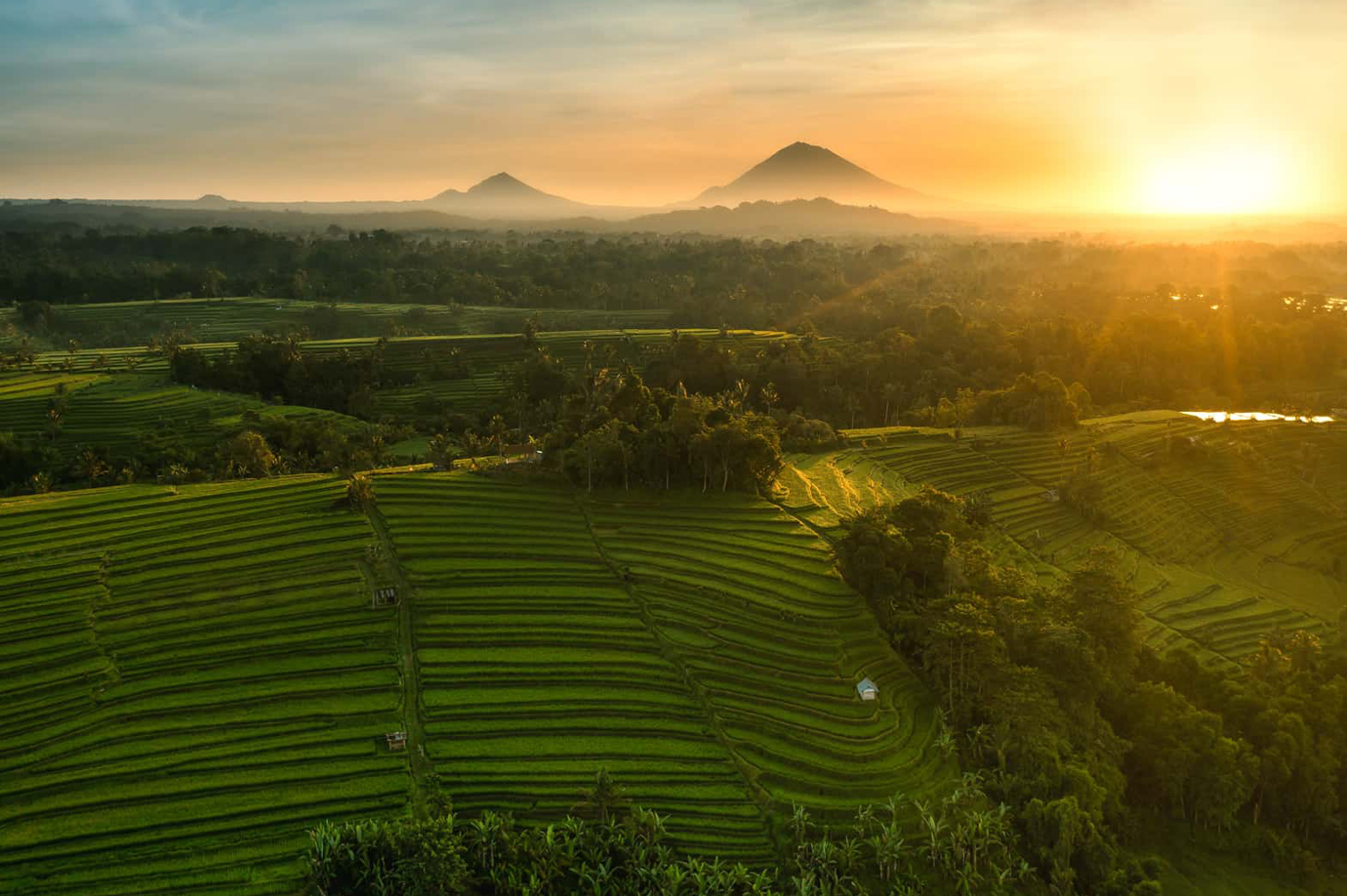Jatiluwih Rice Terraces
