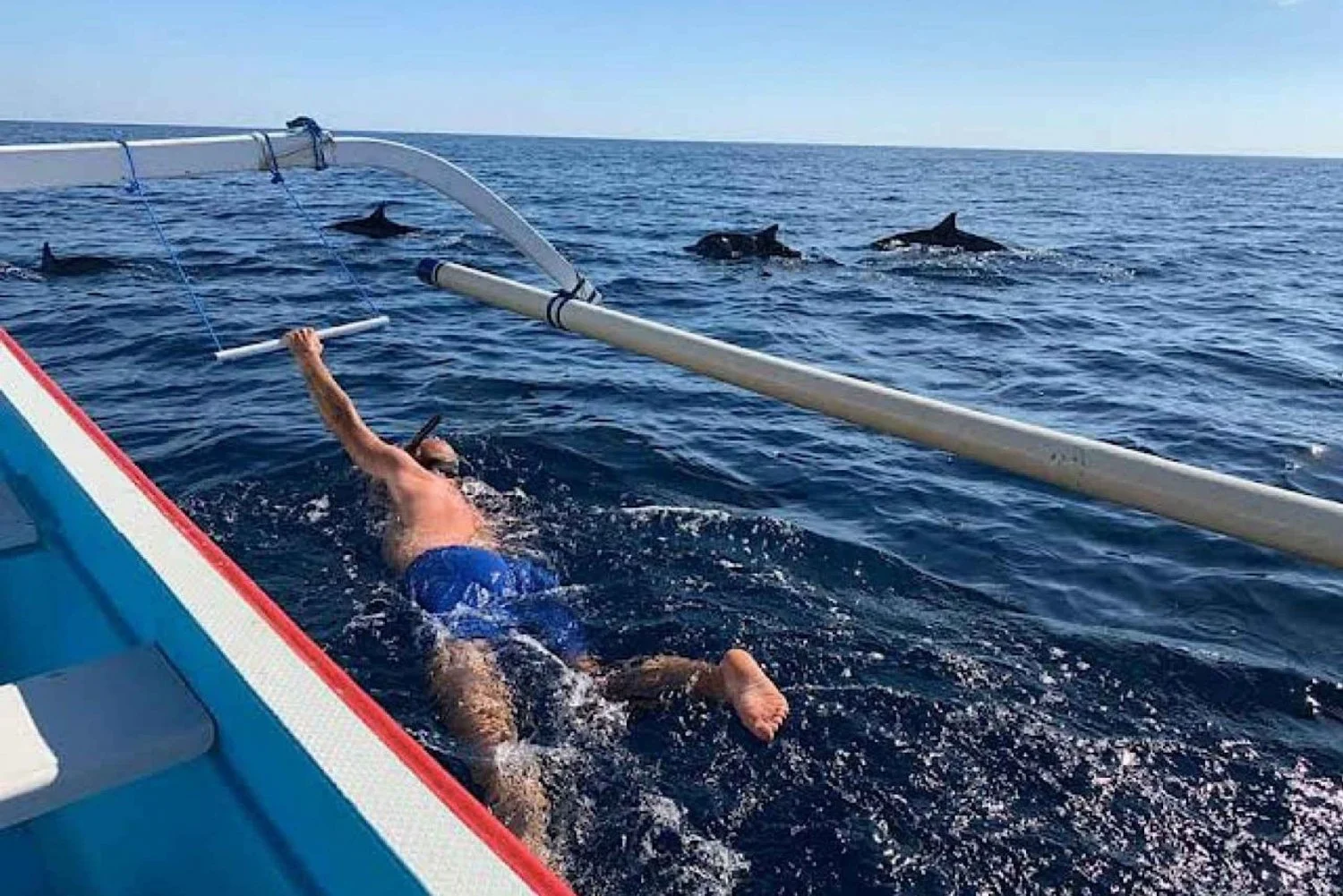 Swimming with Dolphins in Lovina