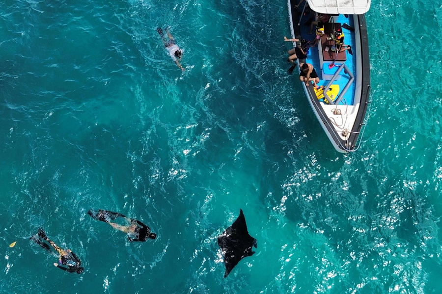 Snorkeling in Nusa Penida