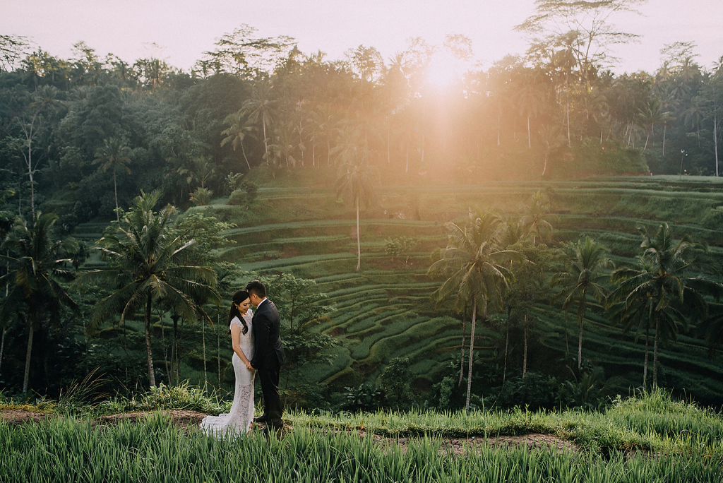 Tegalalang Rice Terraces
