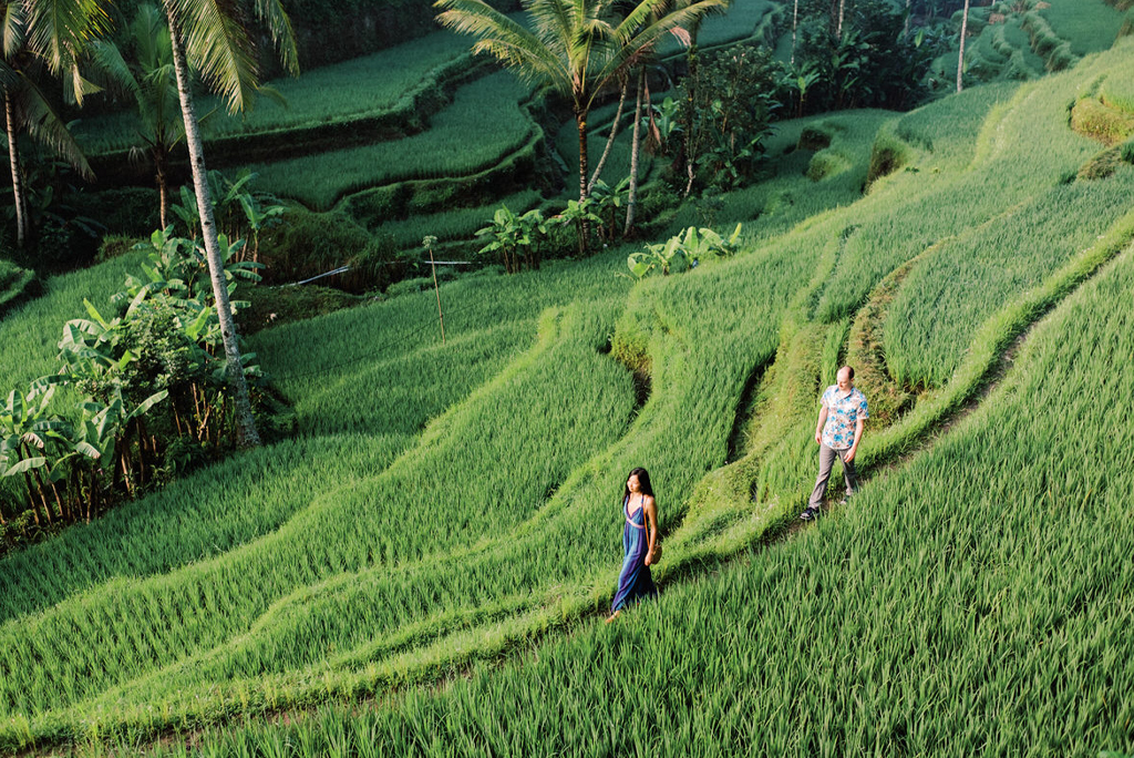 Tegalalang Rice Terraces